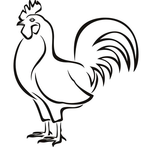 Chicken Line Drawing Free Download On Clipartmag