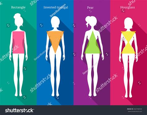 Vector Illustrations Of Female Body Types White Silhouettes With