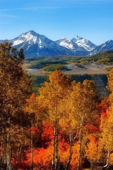 Best Scenic Drives In Colorado To Check Out The Changing Leaves Fall