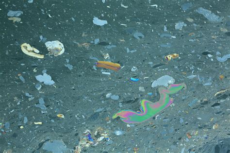 The Great Pacific Garbage Patch Isnt What You Think It Is