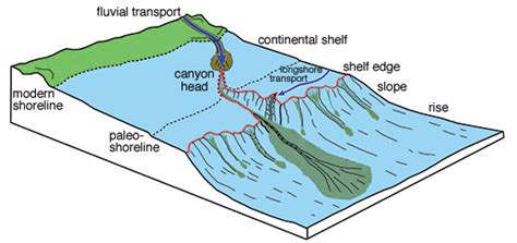 Submarine Canyons A Window Into The Oceans Geologic History