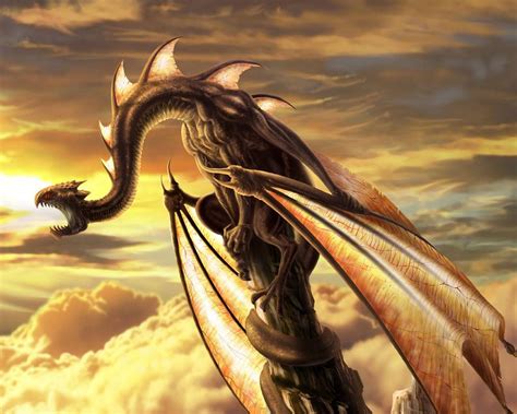 29 Dragon Wallpapers Backgrounds Images Pictures Design Trends
