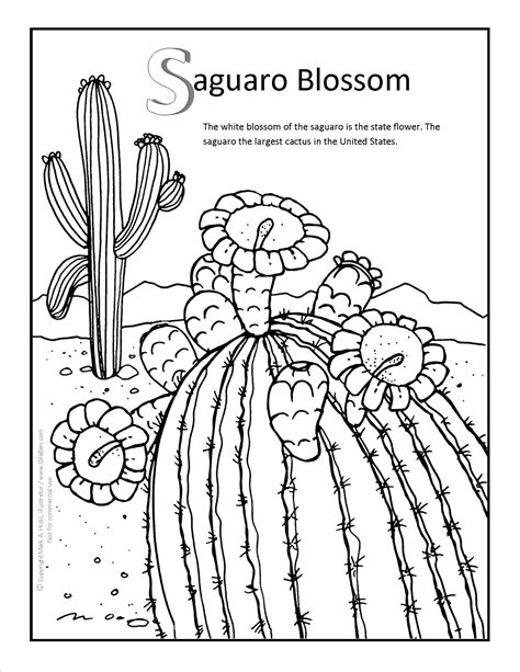 Goofy coloring sheets 30 coloring. Saguaro Blossom Coloring page at GilaBen.com | Flower ...