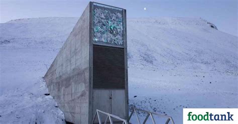 15 Crops Secured In The Svalbard Global Seed Vault Food Tank