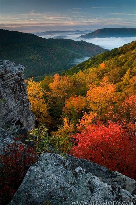 Fall Colors In West Virginia Monongahela National Forest © Alex Mody