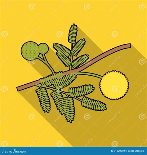 Yellow Mimosa Flower Icon In Flat Style Isolated On White Background