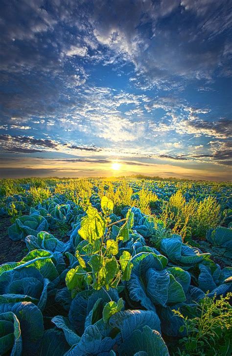 1146 Best Photography Phil Koch Images On Pinterest