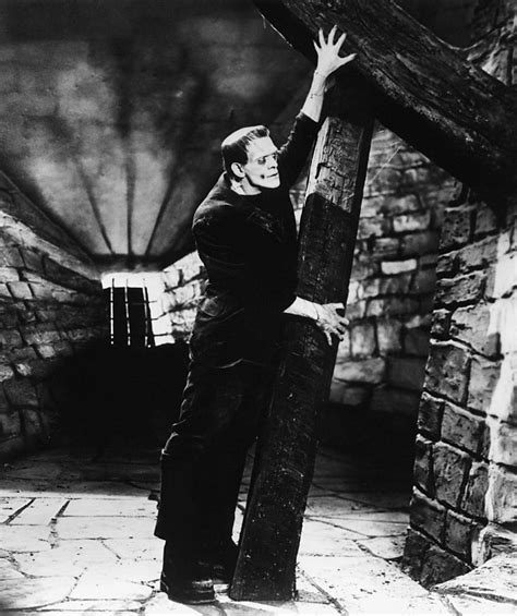 El Doctor Frankenstein Frankenstein 1931 Crtelesmix
