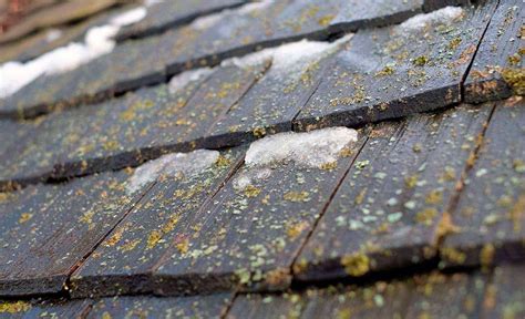 How To Identify Hail Damage Roof Repair T Reynolds Roofing Llc