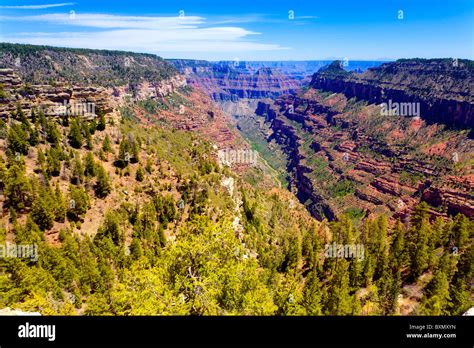 Grand Canyon National Park Stock Photo Alamy