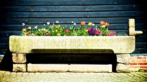 Trough planters are a great, inexpensive alternative to other containers. Horse trough planter in the courtyard | Trough planters ...