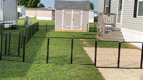 Camping Dog Fence Guide Choosing The Best For Your Needs