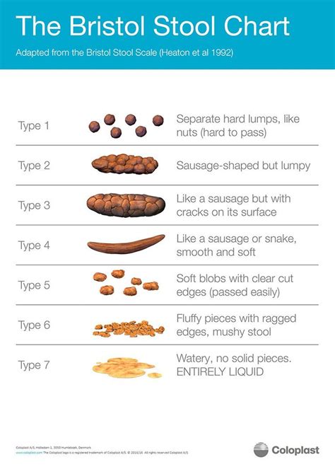 Things Your Bowels Are Telling You About Your Health Bristol Stool Chart Stool Chart