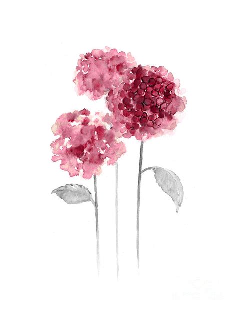 Pink Flowers Watercolor Art Print Painting 1 Painting By Joanna