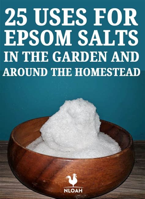 19 Uses For Epsom Salts In The Garden And On The Homestead • New Life On A Homestead