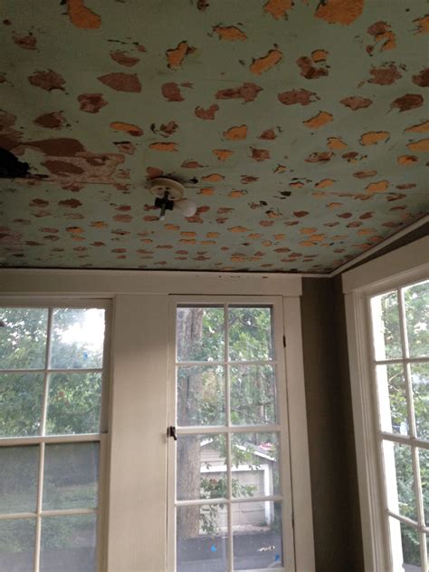 Our Bad Ceilings — The Place Home