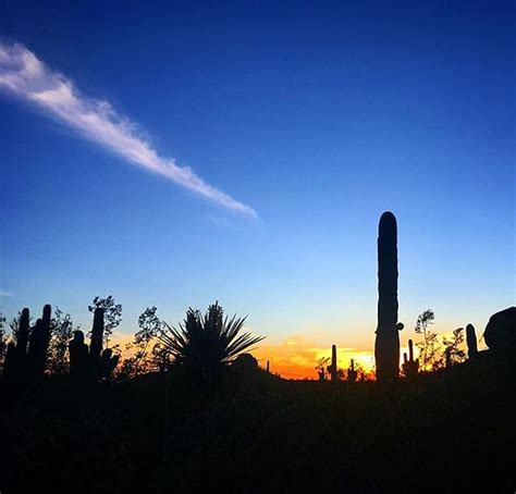 Sunset In The Sonoran Desert Latergram Arizona Flickr