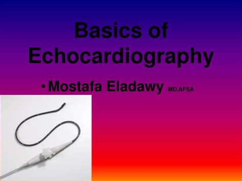 Ppt Basics Of Echocardiography Powerpoint Presentation Free Download