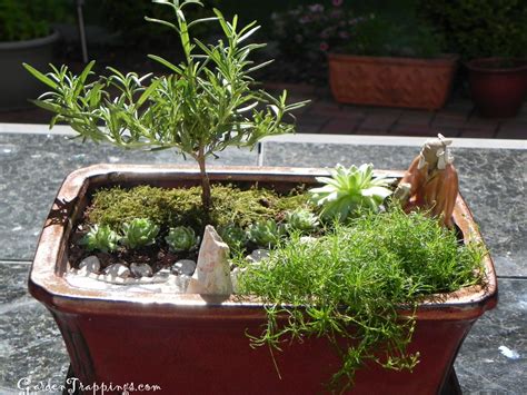 Miniature garden mini prosperity laughing buddha, chinese, zen garden, bonsai. DIY Mini Zen Garden & Rosemary Bonsai | Mini jardins, Mini