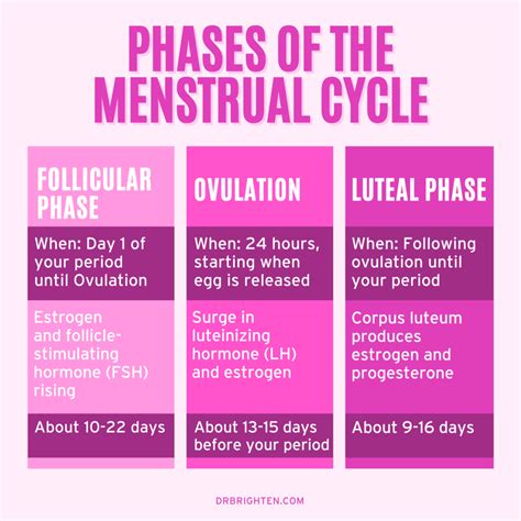 Menstrual Cycle Phases Food Chart