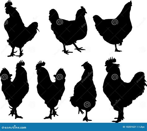 Silhouette Of Hens And Roosters Stock Vector Illustration Of