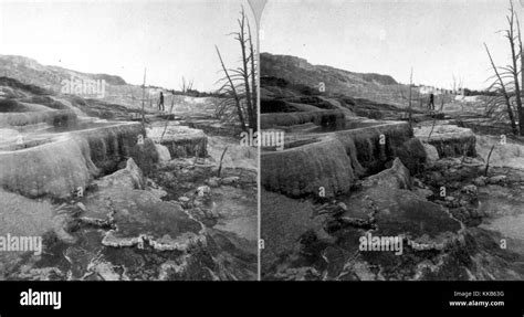 Stereograph Of Mammoth Hot Springs In Yellowstone National Park Wyoming 1872 Image Courtesy