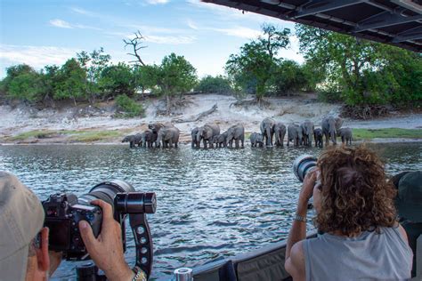 10 Things To Do In And Around Chobe Botswana Things To Do Botswana Victoria Falls