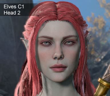 Other Heads For Your Character At Baldur S Gate Nexus Mods And Community