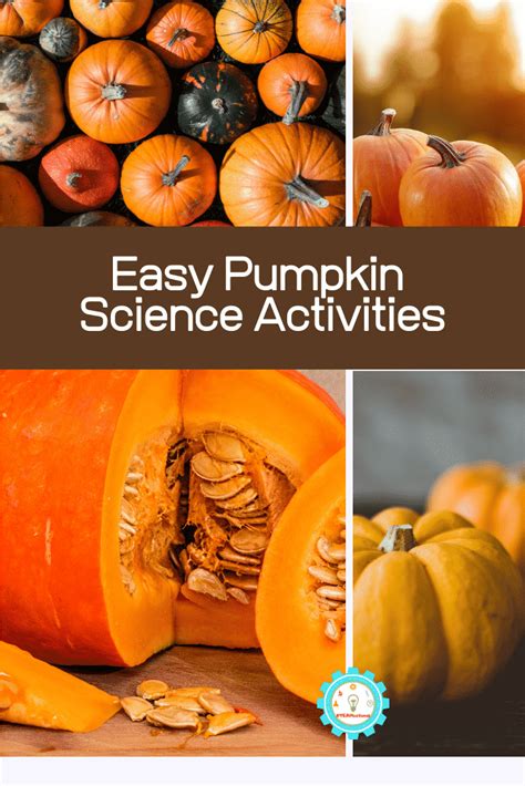 10 Pumpkin Science Experiments For Elementary Kids