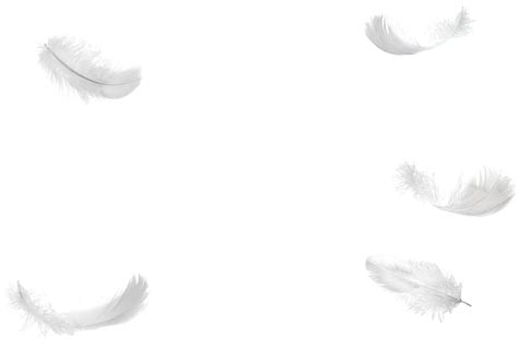 Black Feather Png Clipart Feather Png You Can Download 32 Free