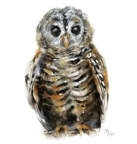Baby Owl Watercolor Art Print Modern Owl Decor Wildlife
