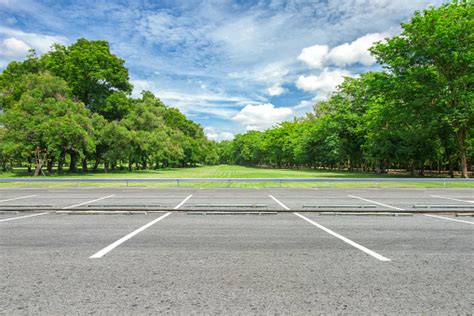 Empty Parking Lot Against Green Lawn In City Park Stock Photo