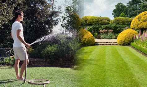 Irrigate the lawn so that the grass seed sticks to the soil and then irrigate lightly twice per day, as needed, so the soil surface remains moist, but not soggy. How to keep your grass green: Don't water your lawn every ...