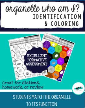 Organelle Who Am I Cell Identification And Coloring Teacher Toolkit