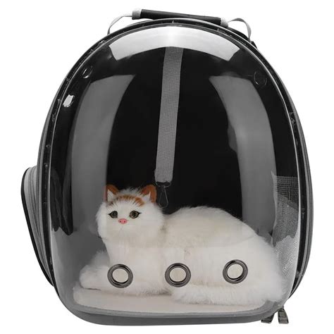 Cat Backpack Travel Bags Cat Meme Stock Pictures And Photos