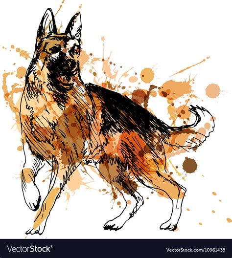 Colored Hand Drawing Of A German Shepherd Vector Image