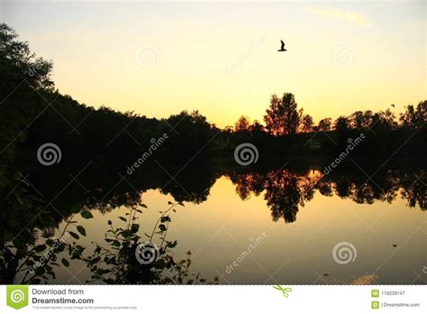 This Mirrored Nature Stock Image Image Of Blue Orange 119239147