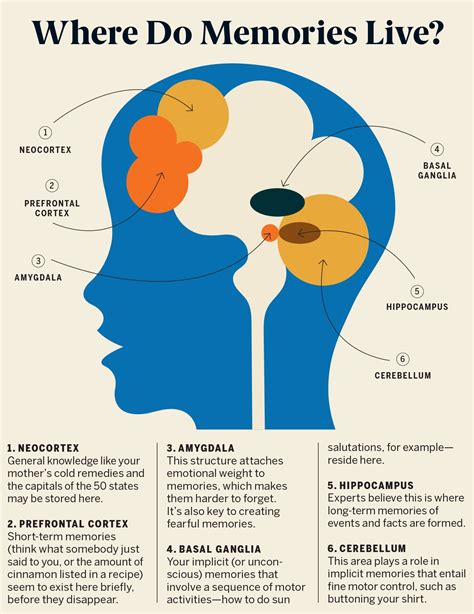 Human Memory Brain Memory Emotional Weight Mental And Emotional