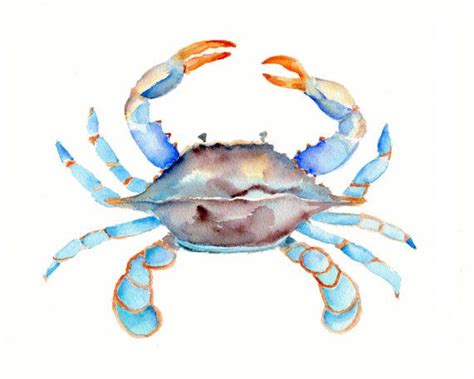 Blue Crab Watercolor Print 8 X 10 Inch On Etsy 1200 Watercolor Sea