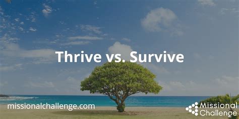 Thrive Vs Survive Missional Challenge