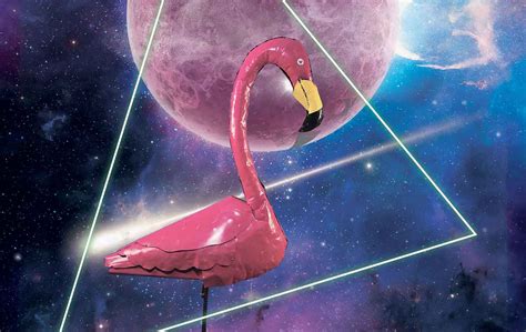 Casting Calls Flamingos From Space