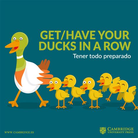 Get Your Ducks In A Row Blog Cambridge