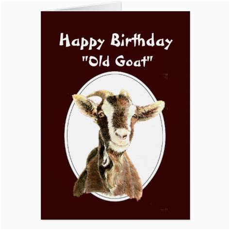 Funny Goat Birthday Cards Birthdaybuzz