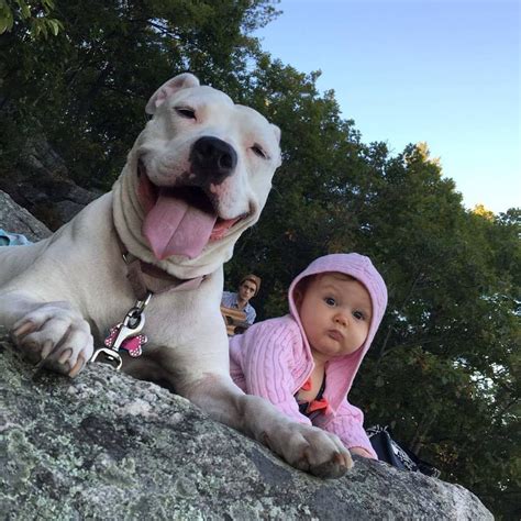 Photos Of Pit Bulls With Kids That Youll Have To Send To Your Friend