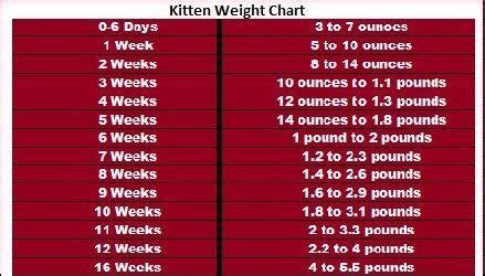 If no mother is present, they must be fed with a bottle and kitten formula every four to five hours by a knowledgeable caregiver. kitten weight chart | Weight charts, Cat weight chart ...