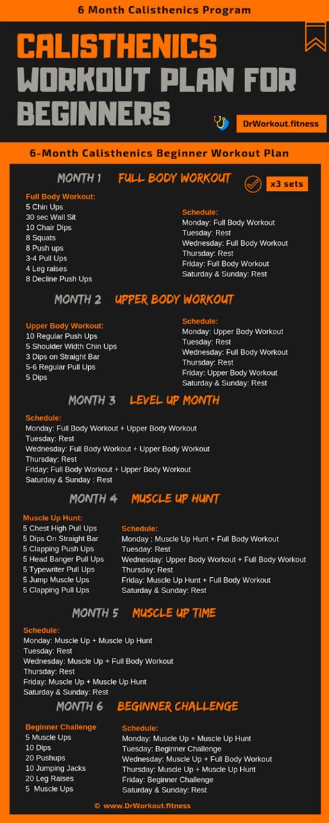 calisthenics workout plan for beginners 6 month program with pdf dr workout