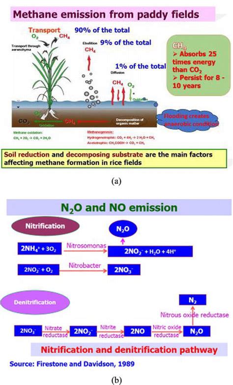 Management Of Paddy Soil Towards Low Greenhouse Gas Emissions And
