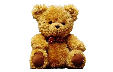 Teddy Bear Free Stock Photo Public Domain Pictures