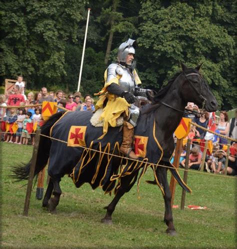 Knight Show Set 210 Free Stock Photo Public Domain Pictures