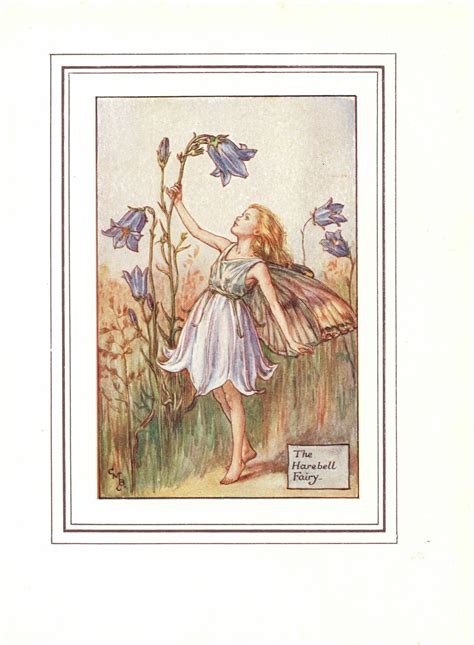 Flower Fairies The Harebell Fairy Vintage Print C1930 By Cicely Mary